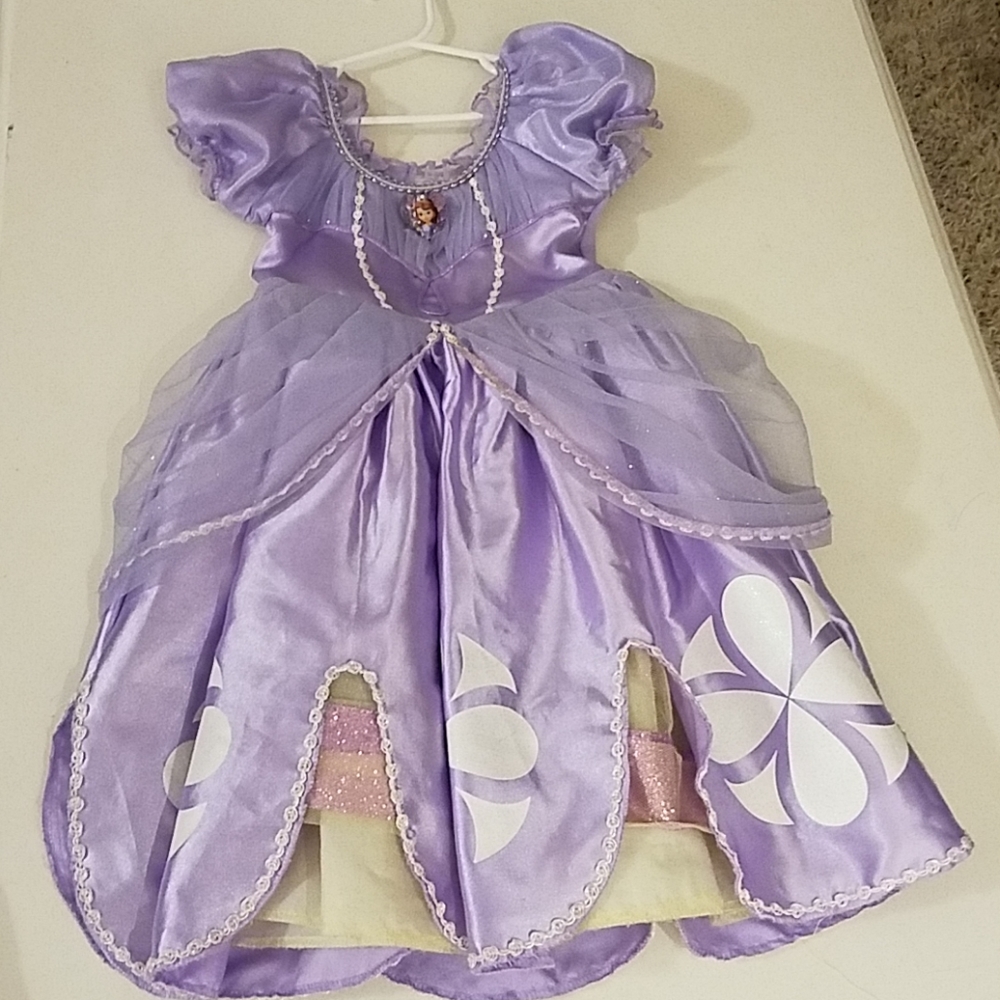 Sofia the 1st gown!